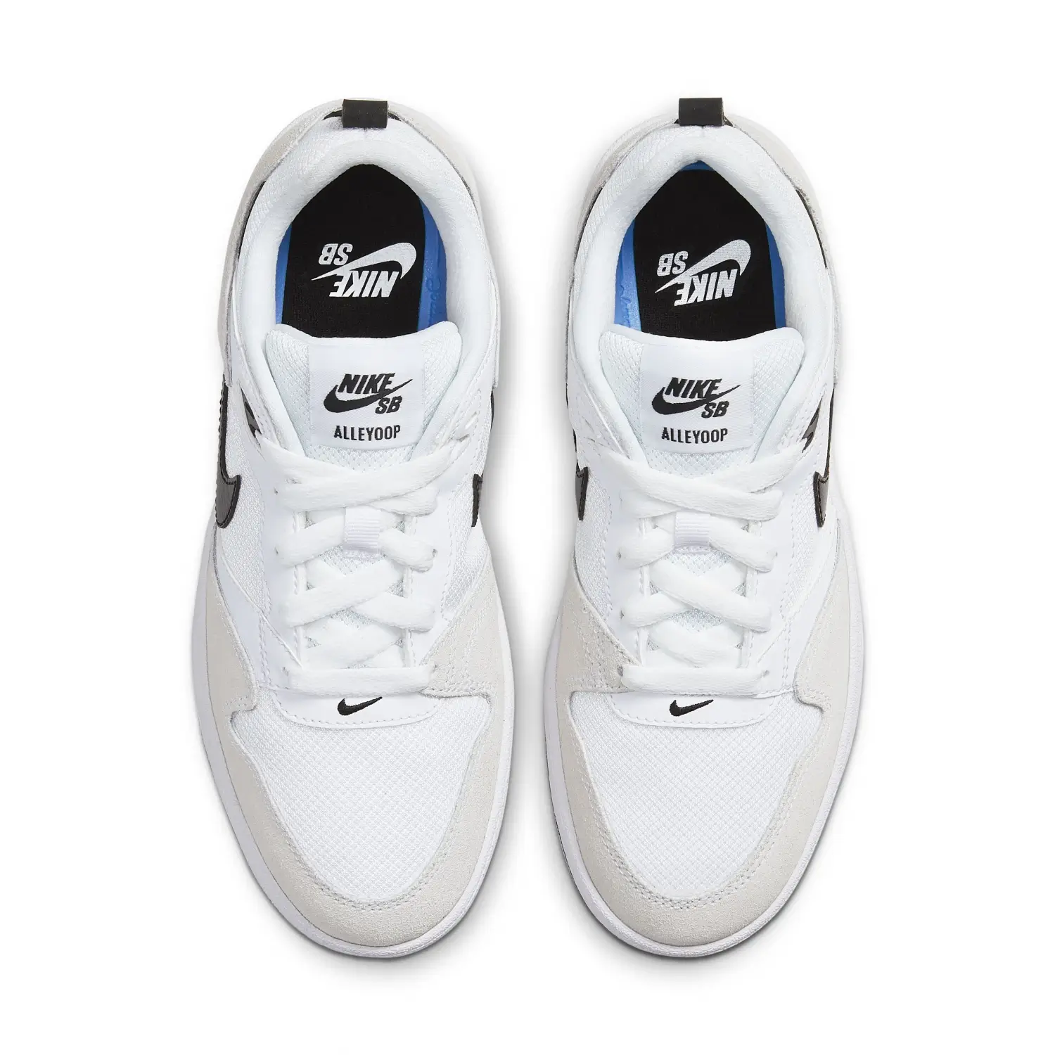 Nike Sb Alleyoop Kadın Günlük Ayakkabı - CQ0369-100